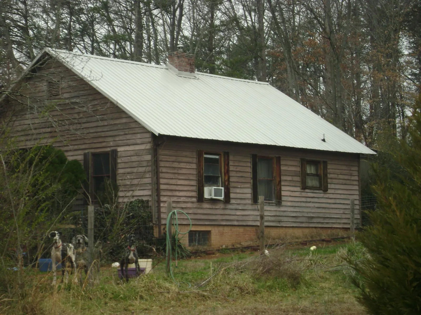 White metal roof on an old wood sided farmhouse, from a Asphalt Shingle Roof Repair job in North Springfield